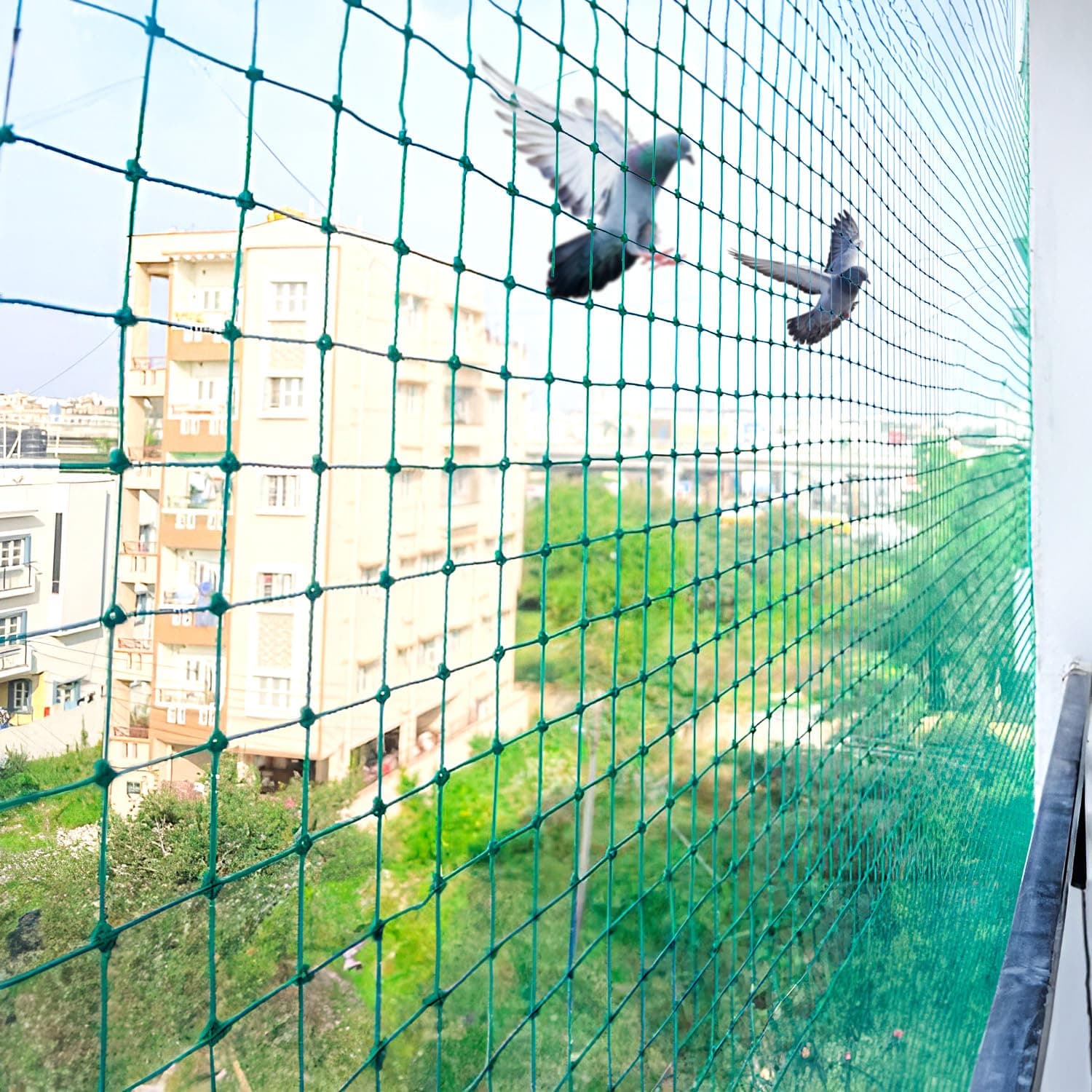 Permanent Pigeon Exclusion Netting