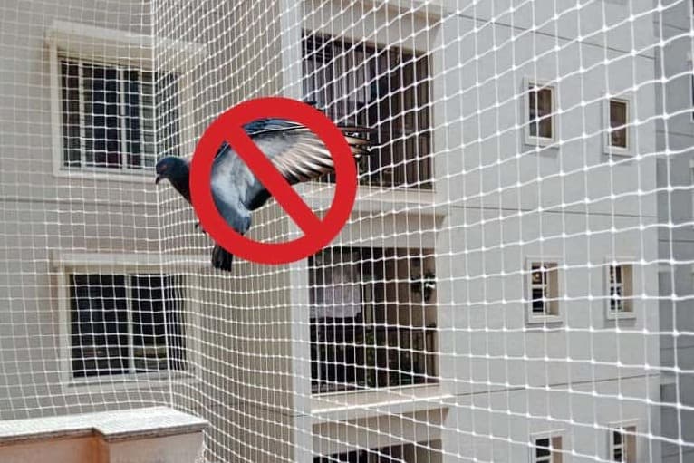 Pigeon Safety Nets